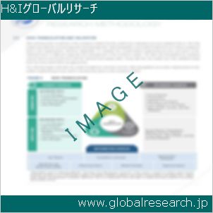グローバルリサーチ調査レポートのイメージ